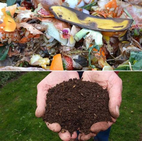 How to Make Compost from Kitchen Waste/Scraps | Gardening Tips