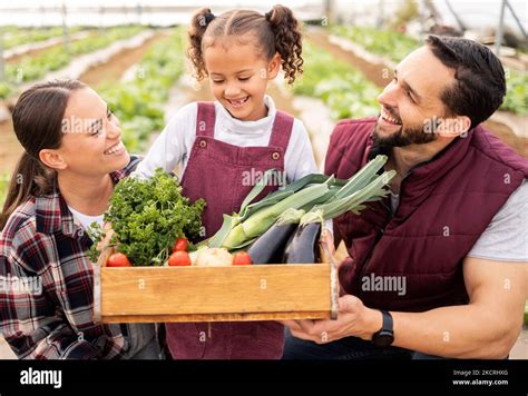 Farmer, family and box with vegetables from agriculture, happy with ...