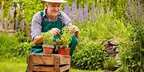 5 Things to Consider When Hiring Gardeners in Dublin - Garden Pro