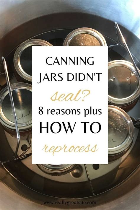 Canning jars not sealing reasons for a false seal and how to reprocess ...