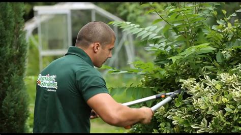Professional Gardening Services in London | Fantastic Gardeners - YouTube