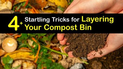 Smart Compost Layering - What Goes in the Compost Pile