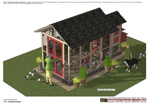 How to build a sturdy, budget-friendly chicken coop for 6 hens?