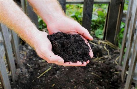 The Ultimate Guide to Composting: What to Compost, Advantages, and How ...
