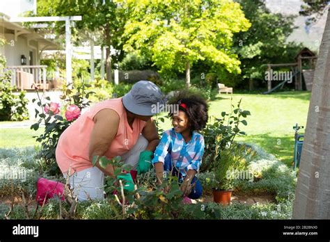 Family gardening together Stock Photo - Alamy