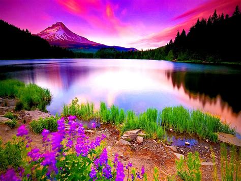 Explore The Nature: Natural Beauty