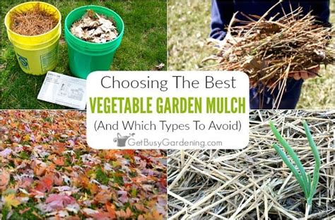 9 Best Mulches For Your Vegetable Garden Beds - Get Busy Gardening