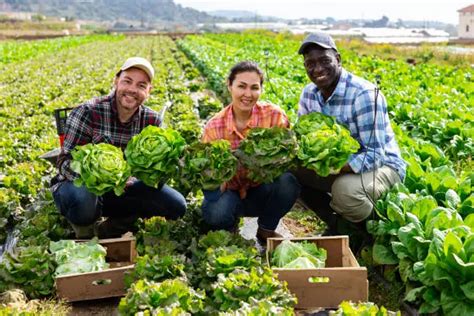 1K+ Farmers Pictures | Download Free Images on Unsplash