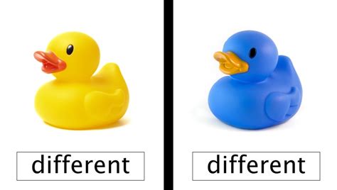 Content Update - Punctuation Rules, Adjectives, and Same &amp; Different ...