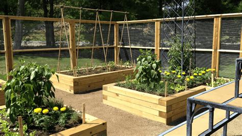 Fence Raised Garden: Grow More in Less Space