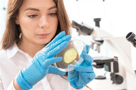 Inspection of the Quality of Vegetables and Fruits in the Laboratory of ...