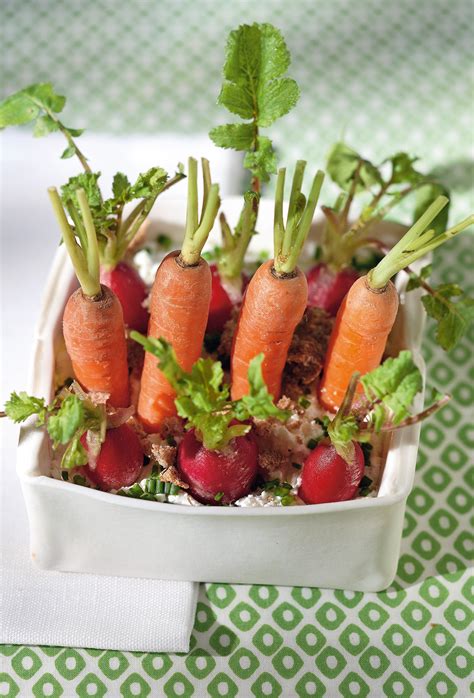 Gourmet vegetable garden - Delicious » ChefSane