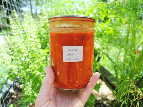 Quickest way to preserve garden tomatoes for rich, country-style pasta sauce?