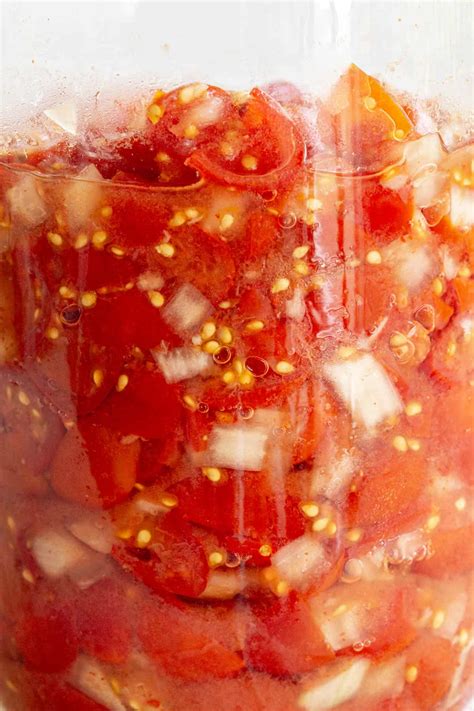 Fermented Tomato Salsa | Wandercooks