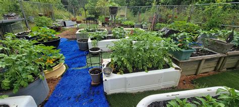 How to build a sturdy, budget-friendly raised garden bed using reclaimed wood or logs?