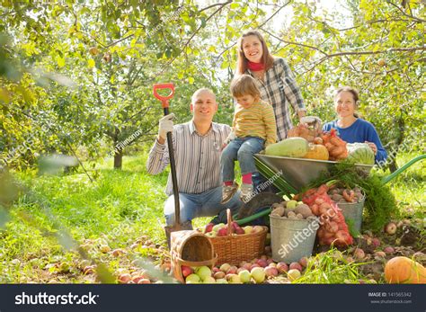 Happy Family Harvest Vegetable Garden Stock Photo 141565342 | Shutterstock