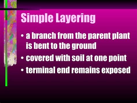 Layering | PPT