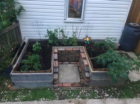 Finally finished my raised bed : gardening