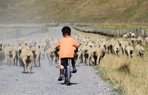 Uneasy reality of rural life