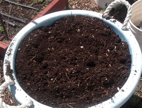 finished compost | The Wealthy Earth