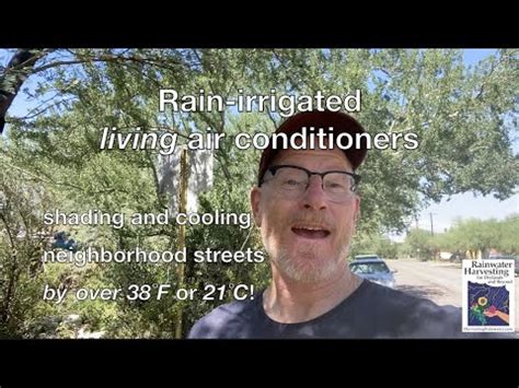 Rain-Irrigated LIVING Air Conditioners shading and cooling neighborhood ...