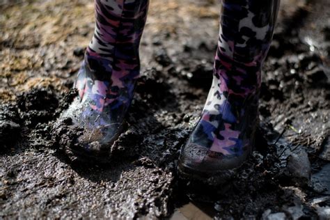 4 Tried &amp; True Methods to Beat Muddy Horse Paddocks - Horse Rookie