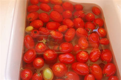 Freezing Diced Tomatoes and Tomato Sauce - Blissfully Content