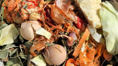 How To Implement Composting At Home | Arcann Companies LLC