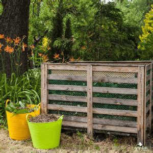 Where to Place Your Compost Bin: Tips for Optimal Location - Garden for ...