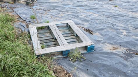 Everything You Need To Know About Soil Solarization To Keep Away Weeds ...