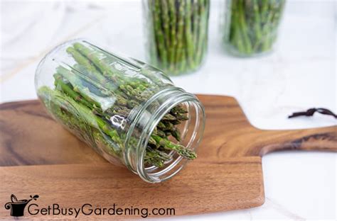 Canning Asparagus: Safe & Easy Recipe - Get Busy Gardening