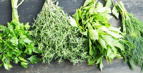 Herbs.Parsley,Thyme,Dill and Lovage Cooking Herbs Stock Photo - Image ...