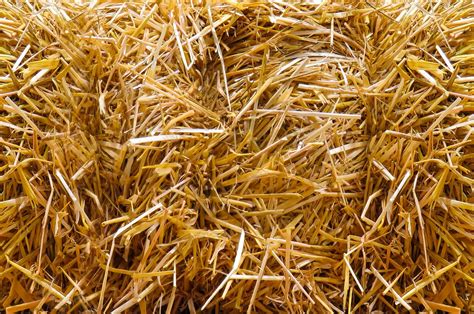 Straw Fall Bales - Free photo on Pixabay