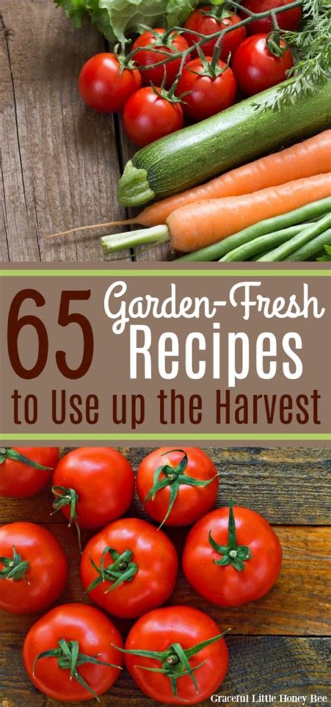 65 Garden-Fresh Recipes To Use up the Harvest - Graceful Little Honey Bee