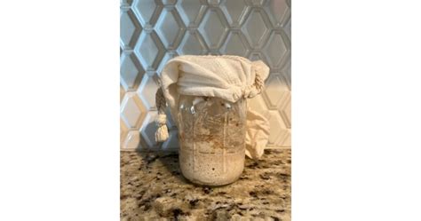 How to - Store Sourdough Starter in Fridge - Rooted At Heart
