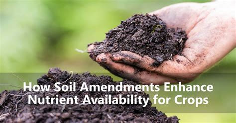 How Soil Amendments Enhance Nutrient Availability for Crops | AgNote
