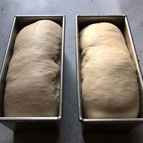 Sourdough Sandwich Bread - The Homemade Harvest