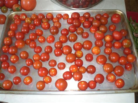 Freezing Whole Tomatoes | ThriftyFun