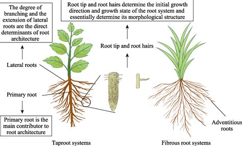 Root Cause Failure Analysis Template - prntbl.concejomunicipaldechinu ...