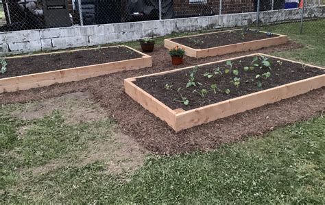 What To Mulch Raised Garden Bed With at Edward Padgett blog