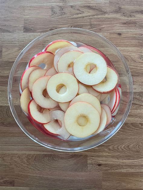 Oven Dried Apple Slices – Curly's Cooking