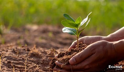 Best Guidance to Improve Drainage in Your Raised Beds