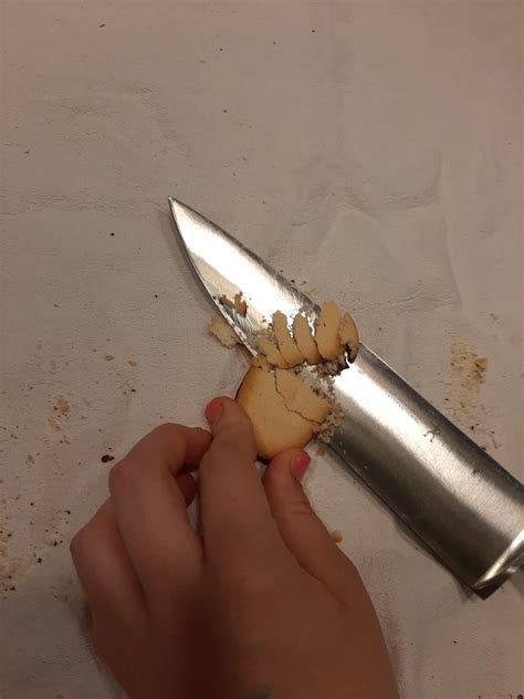 Platypus Ice Cream Sandwich : 12 Steps - Instructables