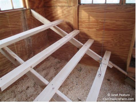 Chicken Coop Building Ideas