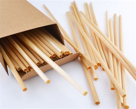 Wheat Drinking Straw | Social Care