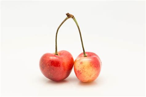 Fruit in Photography: Delicious and Creative Examples – Stockvault.net Blog