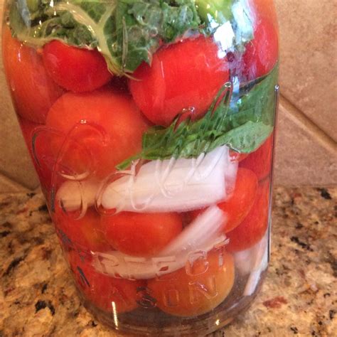 Lacto-Fermented Cherry Tomatoes With Onion and Basil — TLC In The Kitchen