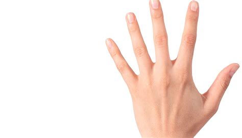 Incredible human hand