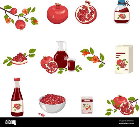 Whole in leaf Stock Vector Images - Alamy