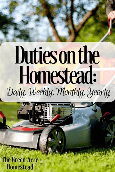 Duties on the homestead: Daily, weekly, monthly chores in 2024 ...